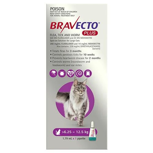 BRAVECTO PLUS CAT PURPLE LGE 2 X PIP