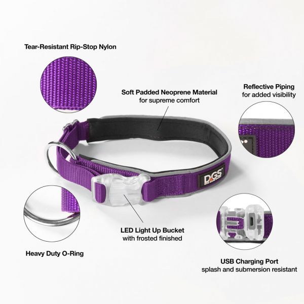 DGS LED COLLAR LGE PURPLE     