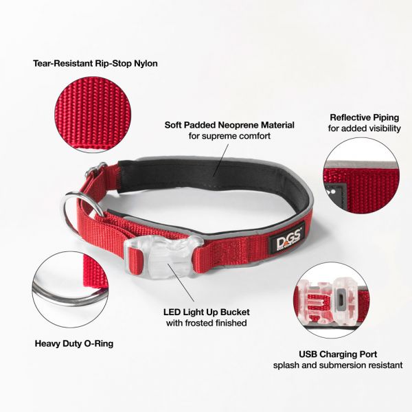 DGS LED COLLAR LGE RED        