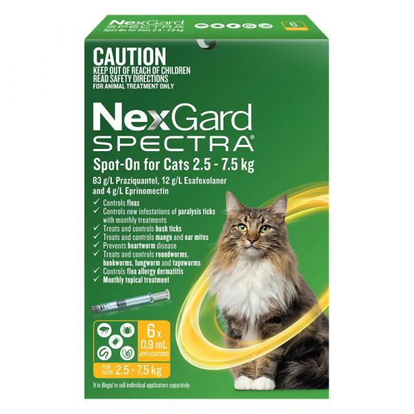 NEXGARD SPECTRA CAT LARGE 6'S