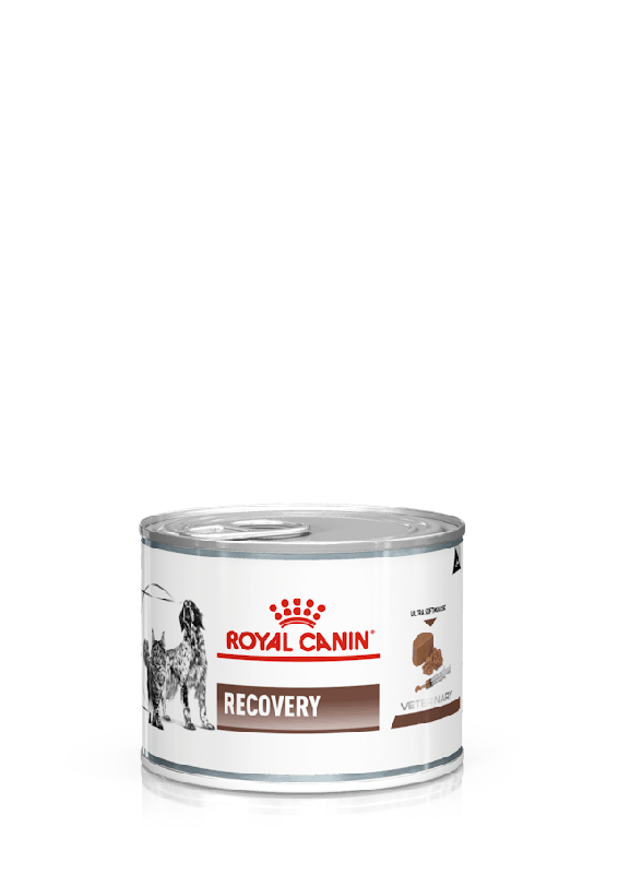 ROYAL CANIN DOG/CAT RECOVERY 195G 12'S