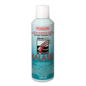 MALASEB MEDICATED FOAM 250ML