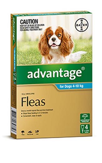 ADVANTAGE DOG 4-10KG AQUA 4'S