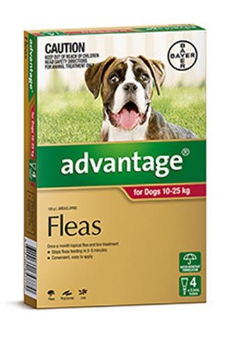ADVANTAGE DOG 10-25KG RED 4'S