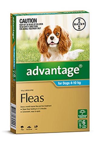 ADVANTAGE DOG 4-10KG AQUA 6'S