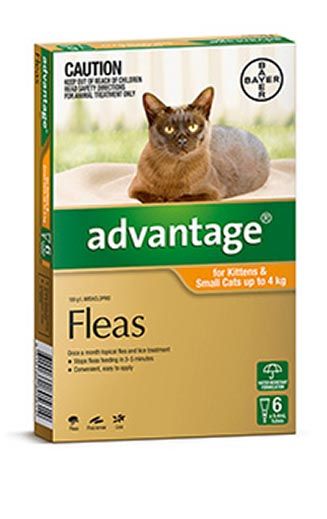 ADVANTAGE CAT 0-4KG ORANGE 6'S