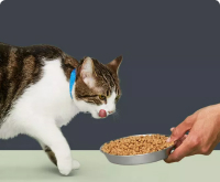 Obay Cat food shop Australia